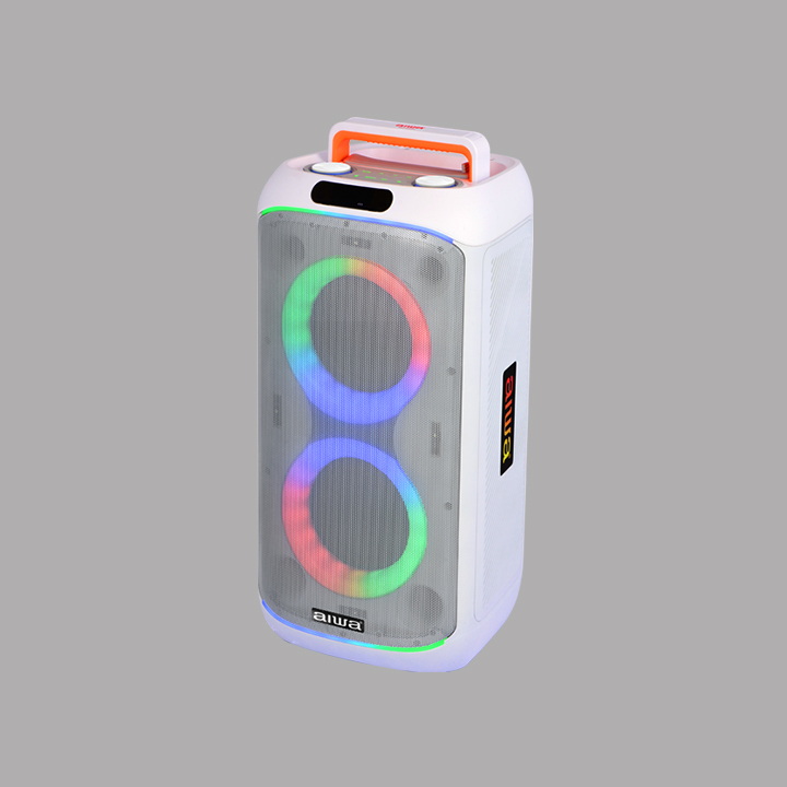 AW-X1653DSP | معرفی اسپیکر شارژی آیوا